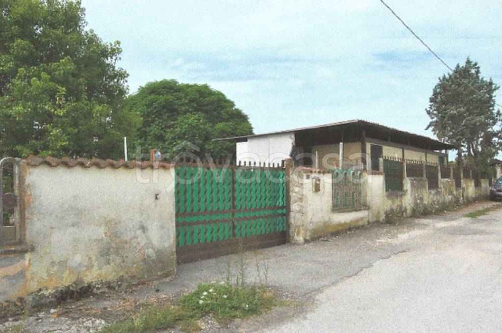 immagine annuncio 8 di 11