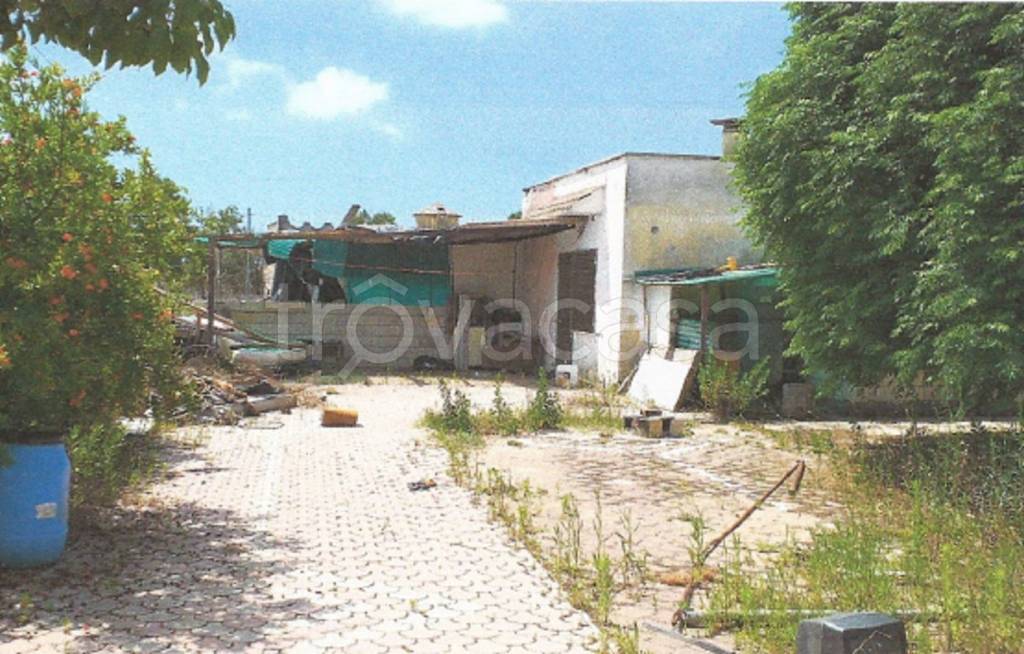 immagine annuncio 9 di 11