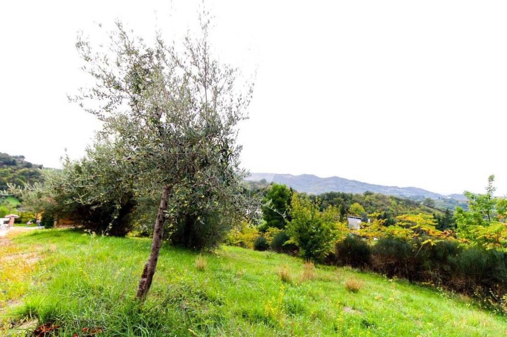 immagine annuncio 4 di 12
