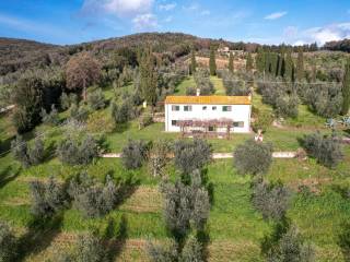 Colonica in vendita a castagneto carducci località casa vecchia