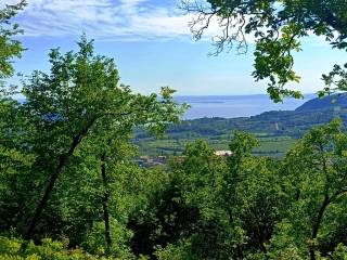 Terreno agricolo in vendita a costermano sul garda via ponte tesina