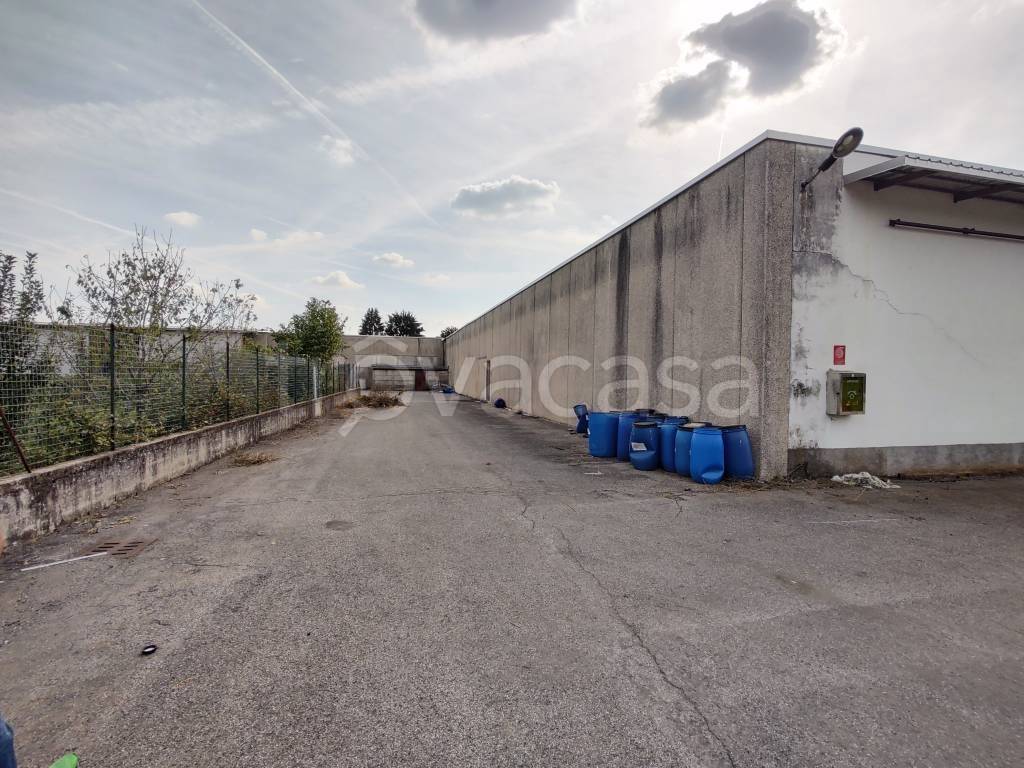 immagine annuncio 10 di 15