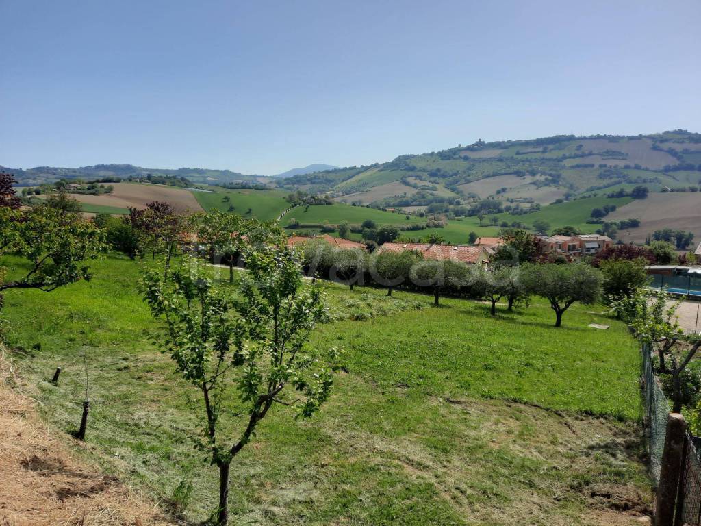 immagine annuncio 1 di 9