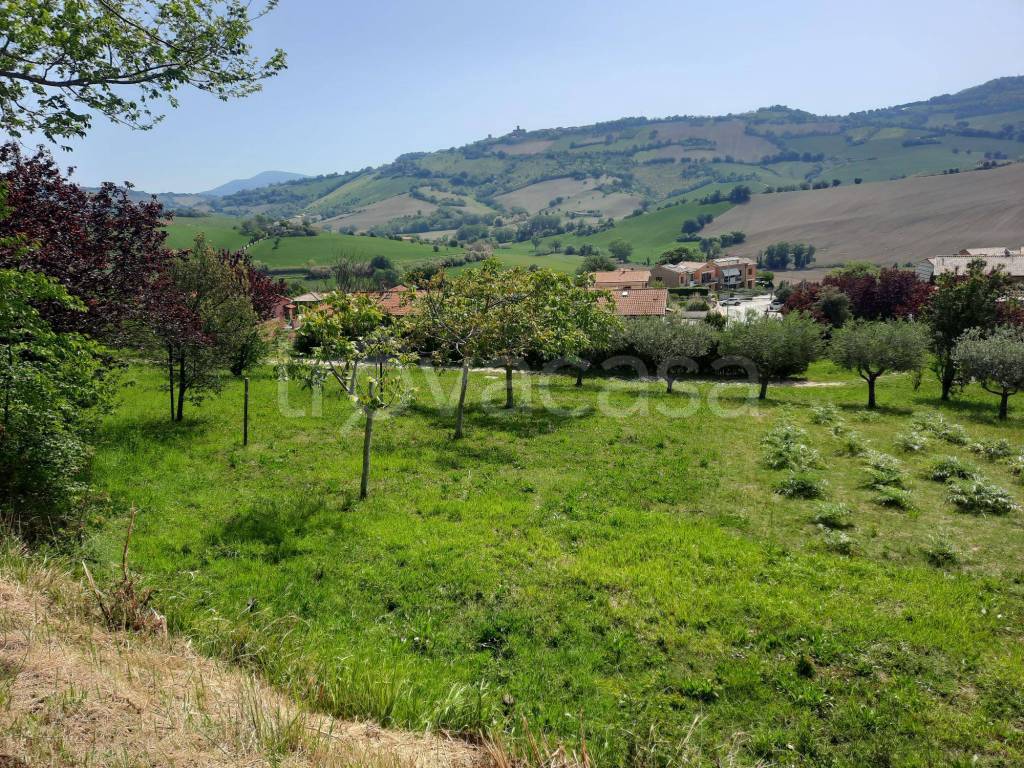immagine annuncio 4 di 9