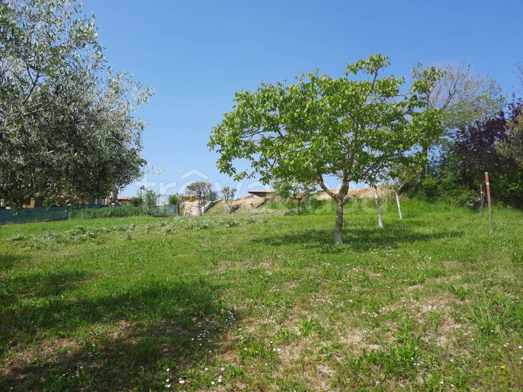 immagine annuncio 6 di 9