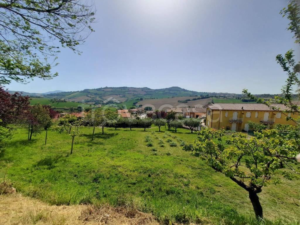 immagine annuncio 8 di 9