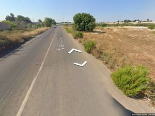 Terreno agricolo in vendita a taviano strada via società operaia