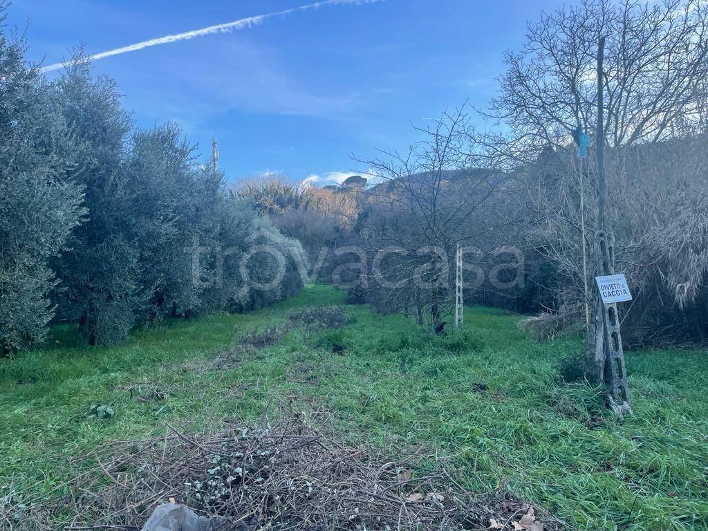 immagine annuncio 6 di 12