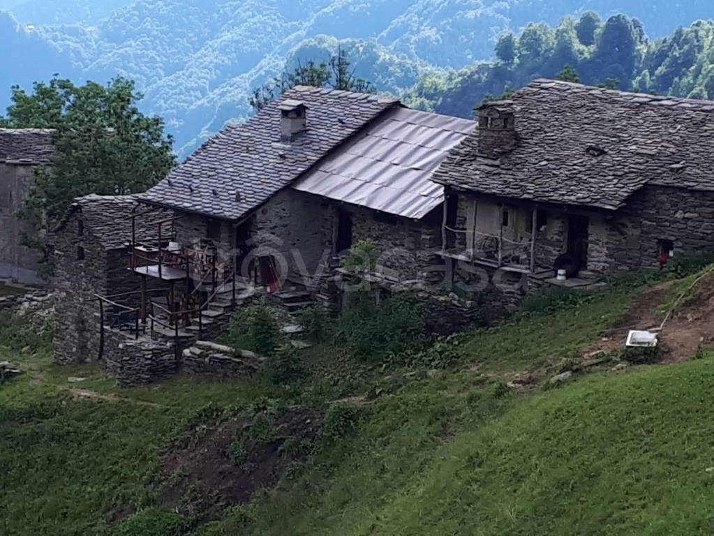 immagine annuncio 8 di 12