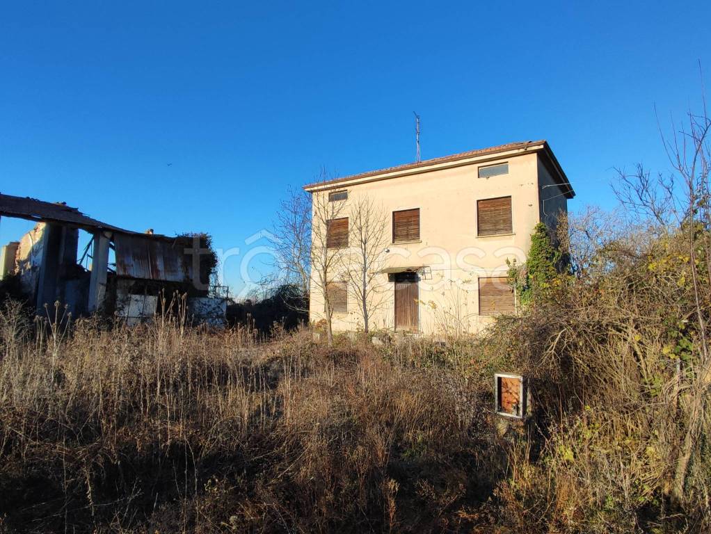immagine annuncio 6 di 13