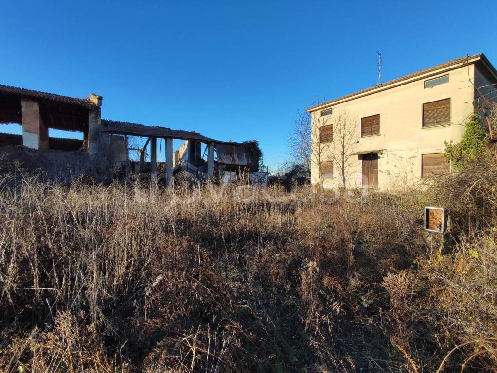 immagine annuncio 7 di 13