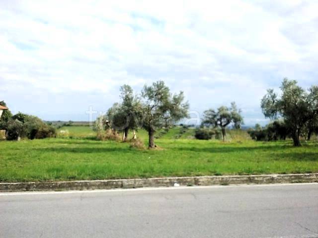 immagine annuncio 9 di 13