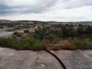 Terreno agricolo in vendita a scordia contrada castagna