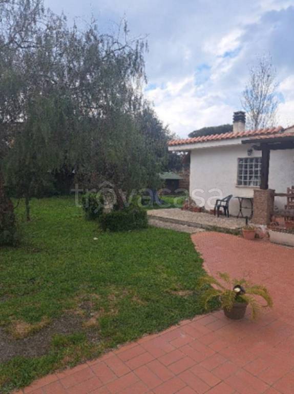 immagine annuncio 4 di 11