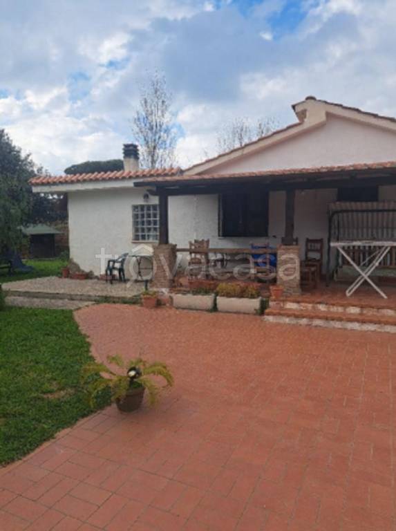 immagine annuncio 5 di 11