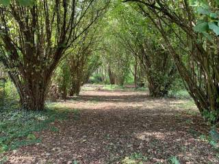 Terreno agricolo in vendita a mortara 