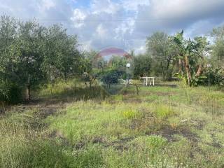 Terreno agricolo in vendita a santa venerina contrada rina