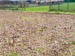 Terreno agricolo in vendita a calusco d'adda via alle cascine