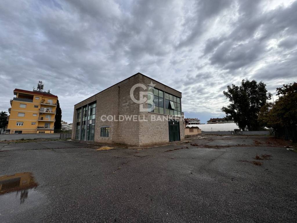 immagine annuncio 10 di 15