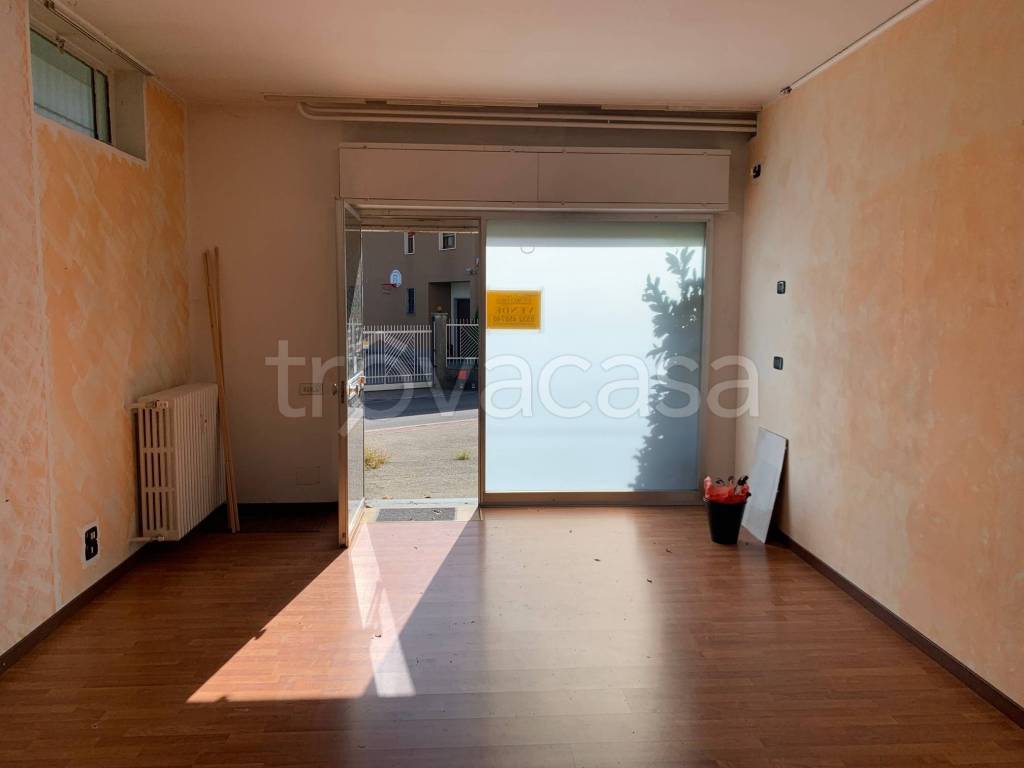 immagine annuncio 9 di 11