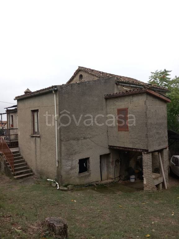 immagine annuncio 9 di 14