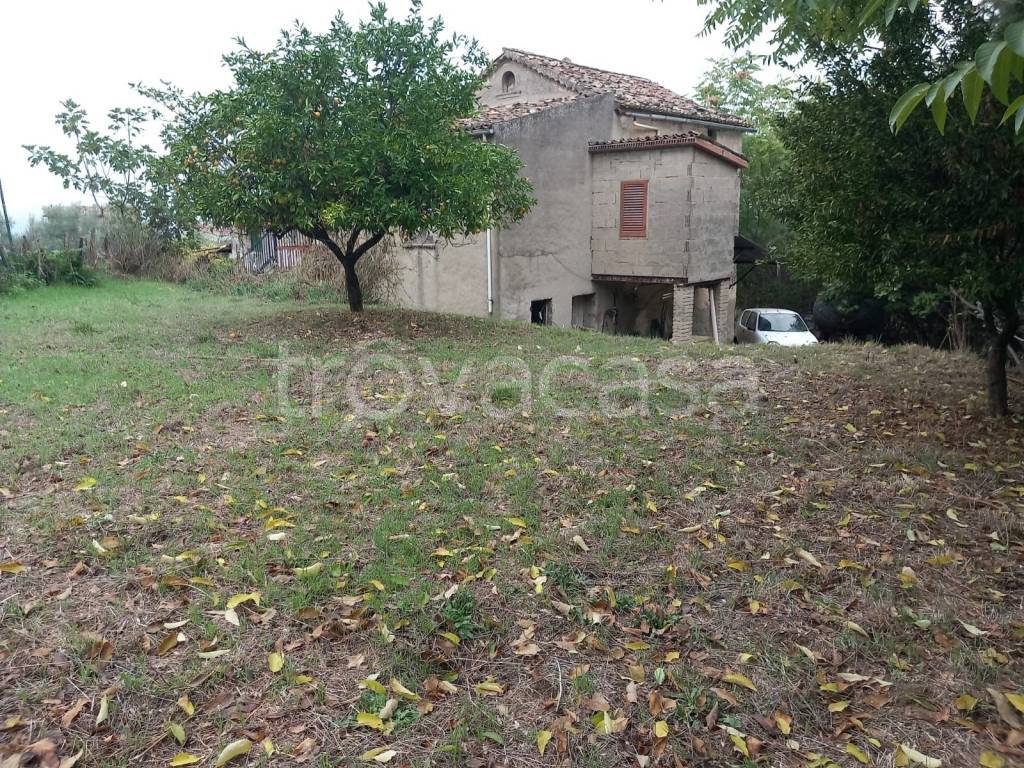 immagine annuncio 12 di 14
