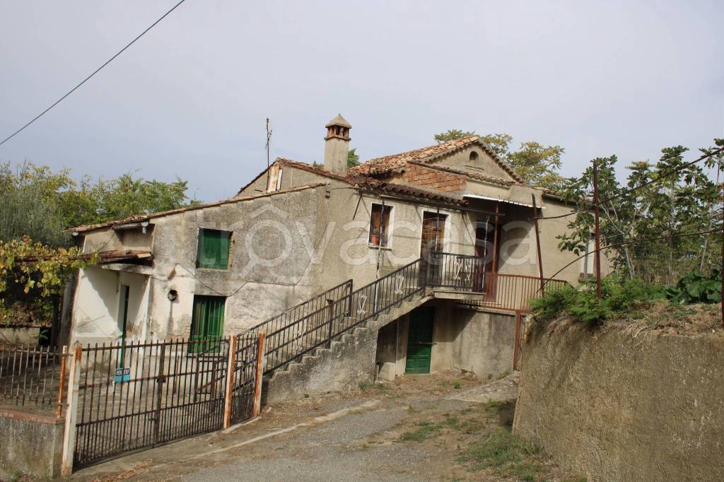 immagine annuncio 2 di 14