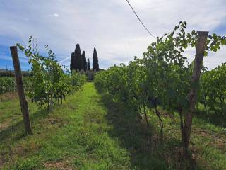 Terreno agricolo in vendita a laterina pergine valdarno via del mulino