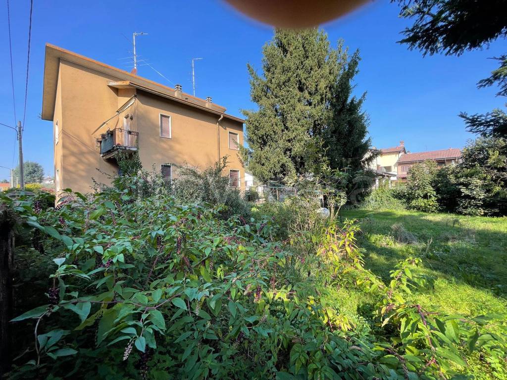 immagine annuncio 4 di 14