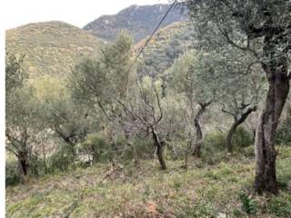 Terreno agricolo in vendita a vico equense via sperlonga