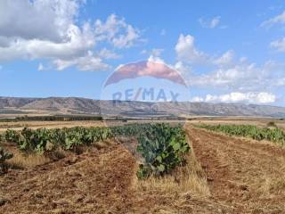 Terreno agricolo in vendita a san giovanni rotondo contrada signoritto, snc