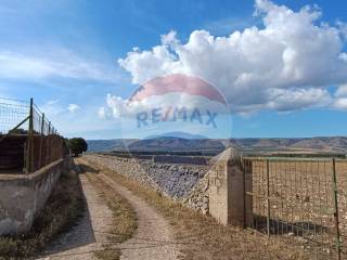 Terreno agricolo in vendita a san giovanni rotondo contrada signoritto