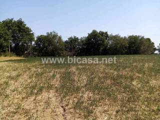 Terreno agricolo in vendita a pesaro strada querciabella