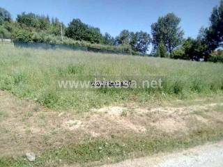 Terreno agricolo in vendita a pesaro via del rio