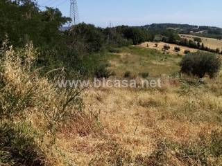 Terreno agricolo in vendita a pesaro 