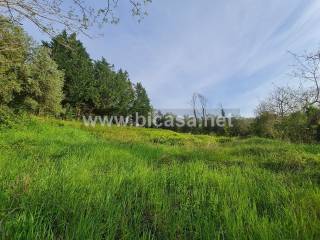 Terreno agricolo in vendita a pesaro 