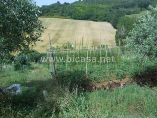 Terreno agricolo in vendita a pesaro strada ponte morotto