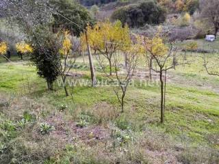 Terreno agricolo in vendita a pesaro 