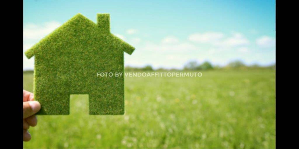 immagine annuncio 1 di 6