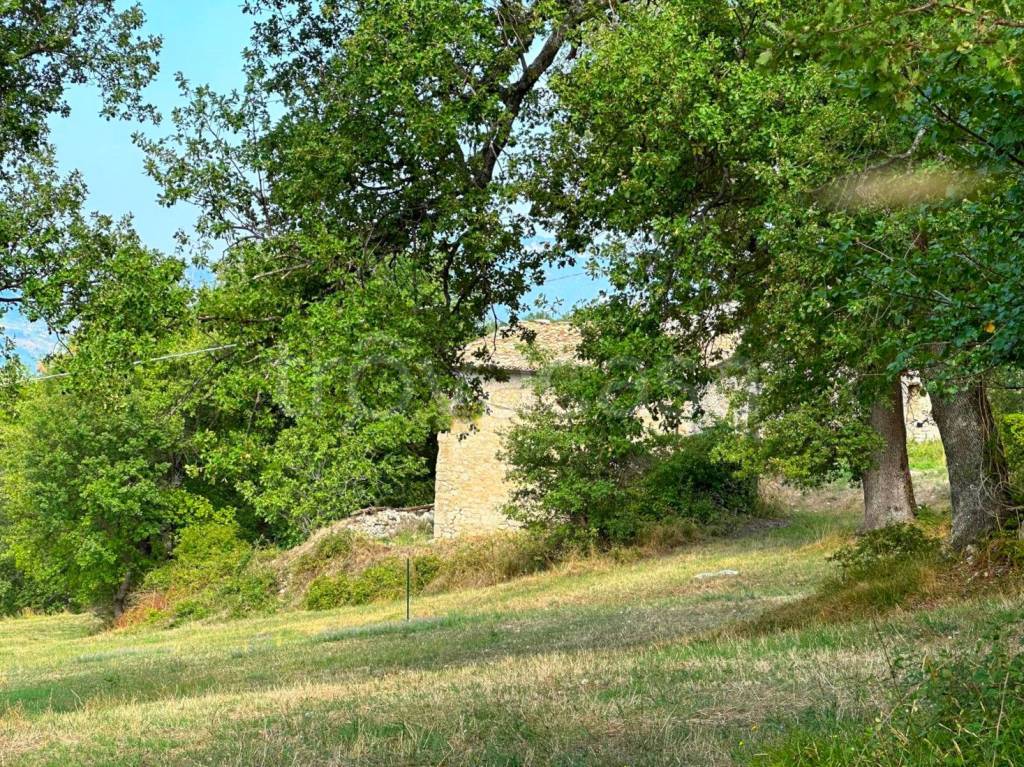 immagine annuncio 3 di 11