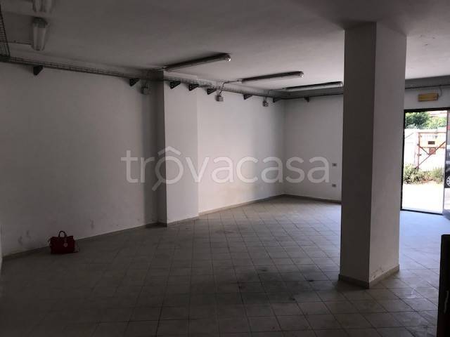 immagine annuncio 10 di 12