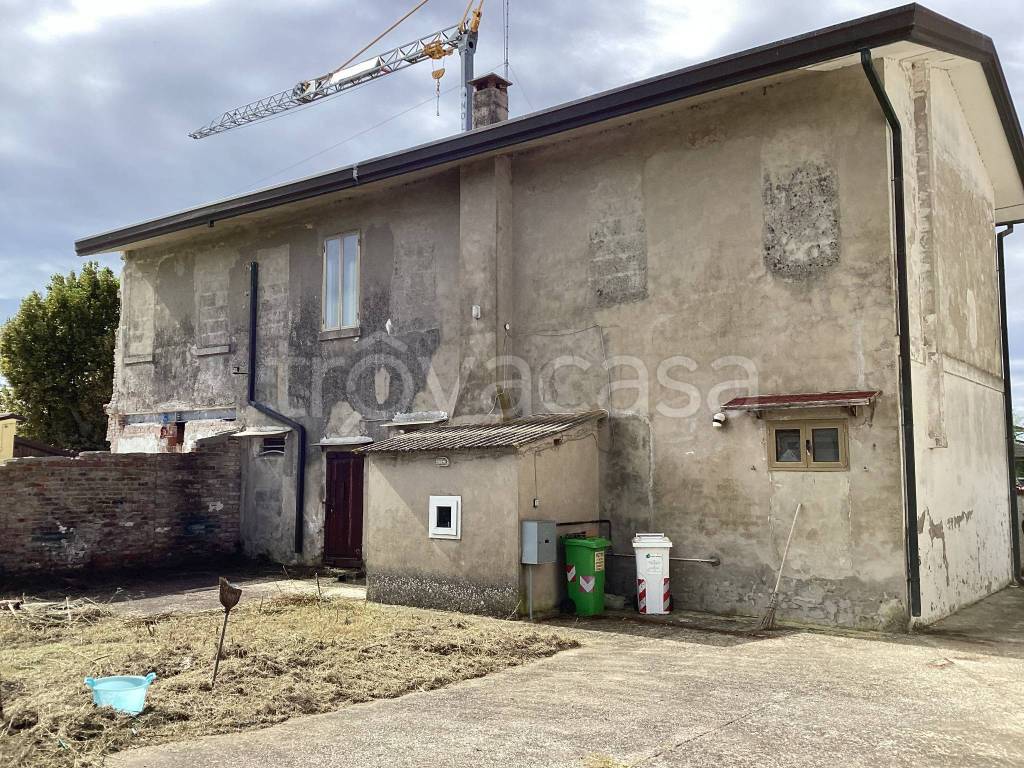 immagine annuncio 4 di 12
