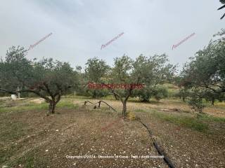 Terreno agricolo in vendita a casteldaccia via pietro nenni