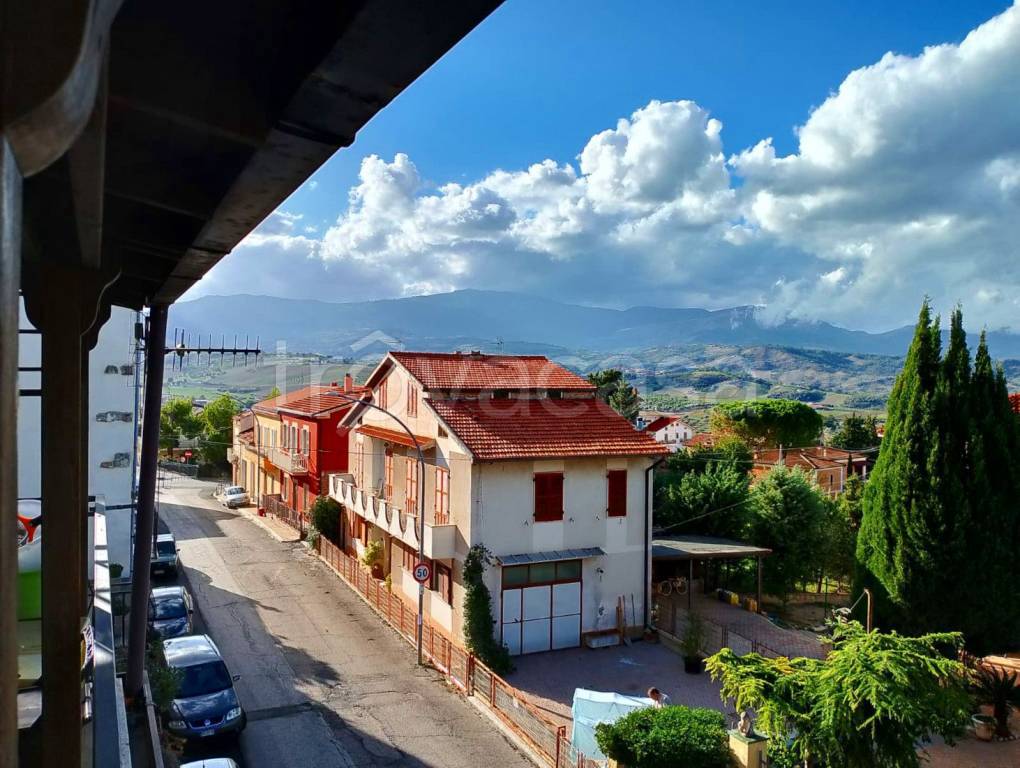 immagine annuncio 11 di 14