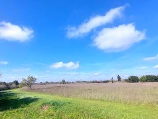 Terreno agricolo in vendita ad andrano via grazia deledda