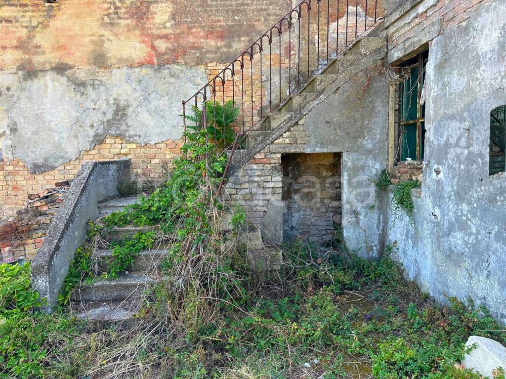 immagine annuncio 9 di 14
