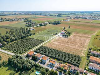 Terreno agricolo in vendita a galliera 