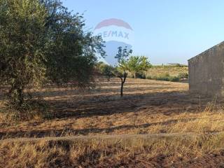 Terreno agricolo in vendita a caltagirone contrada san nicolò le canne, 1