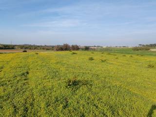 Terreno agricolo in vendita a brindisi strada comunale n. 83