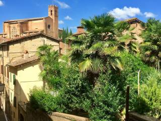 Appartamento in affitto a siena vicolo del forcone